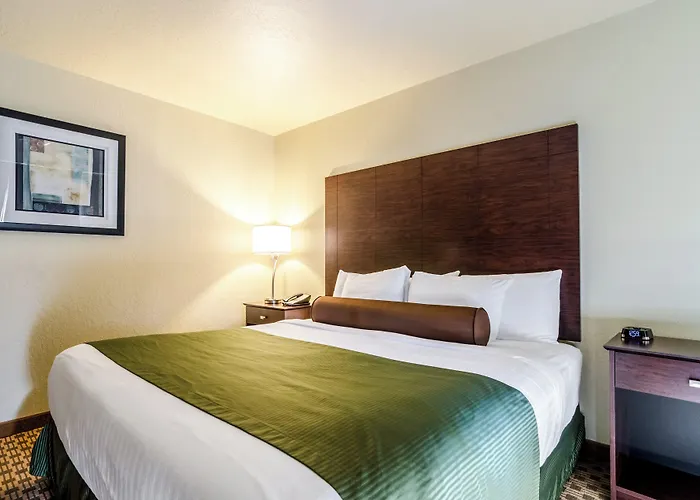 Cobblestone Inn&Suites Cambridge
