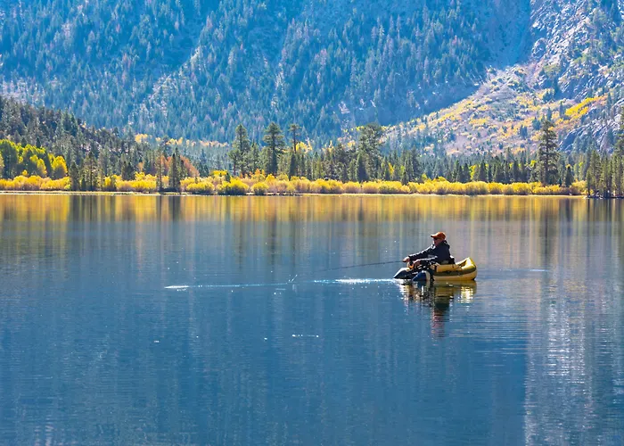 Lake Front Cabins