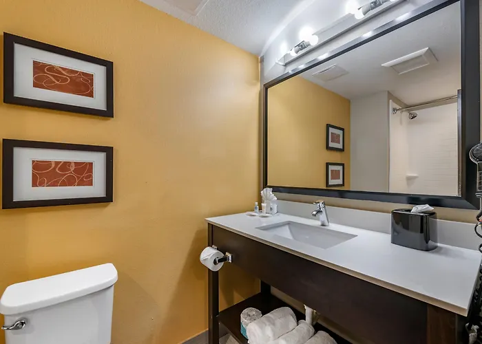 Comfort Suites Fort Lauderdale Airport South&Cruise Port