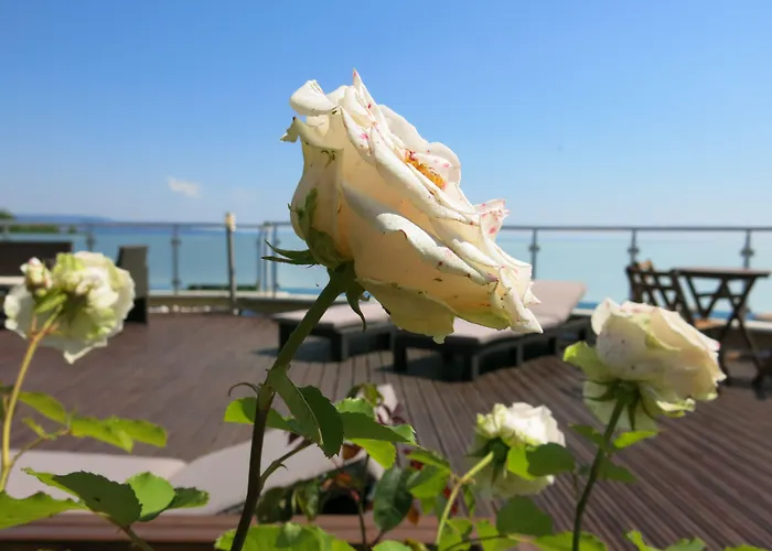 Family Hotel Albizia Beach