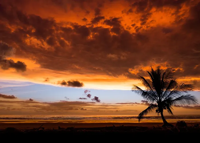 El Castillo Luxury Boutique Hotel- (Adults Only)