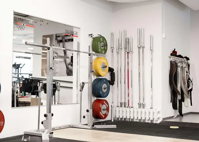 Olympiatoppen Sportshotel - Scandic Partner