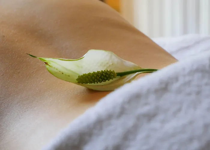 Demeures Et Chateaux Moulin Des Templiers Hotel & Spa
