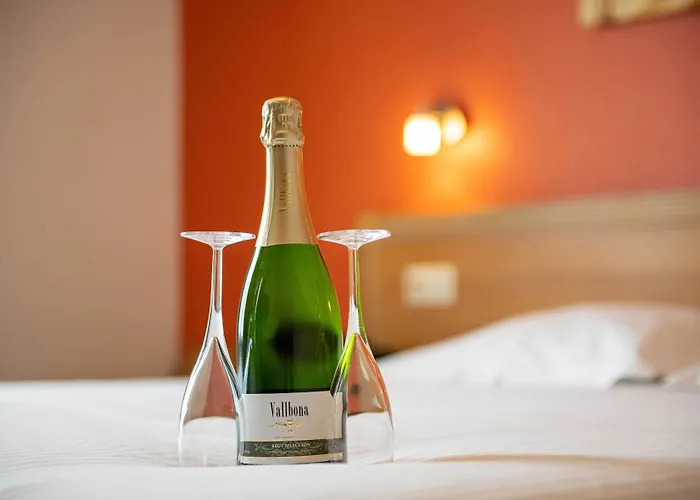 Hotel Sabot D'Or