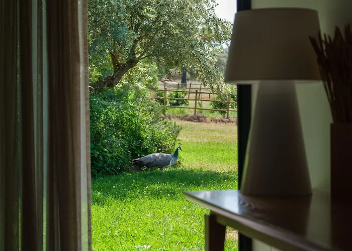 Herdade Da Cortesia Hotel