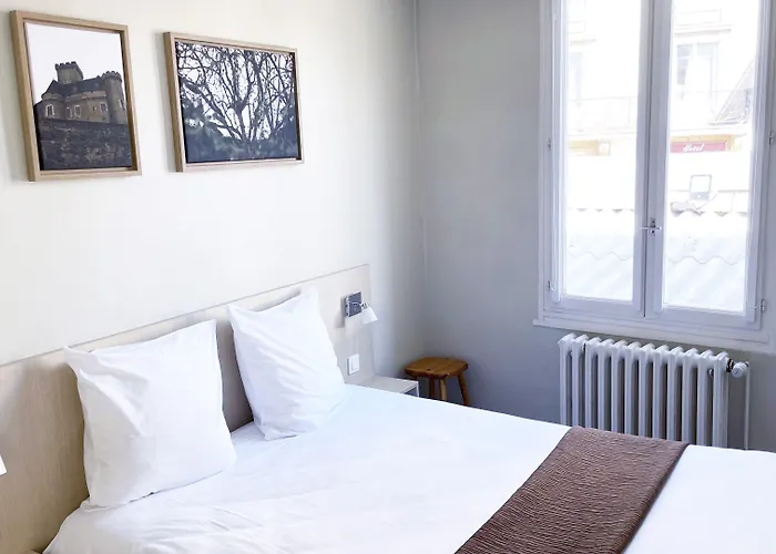 Abelha Hotel Le France