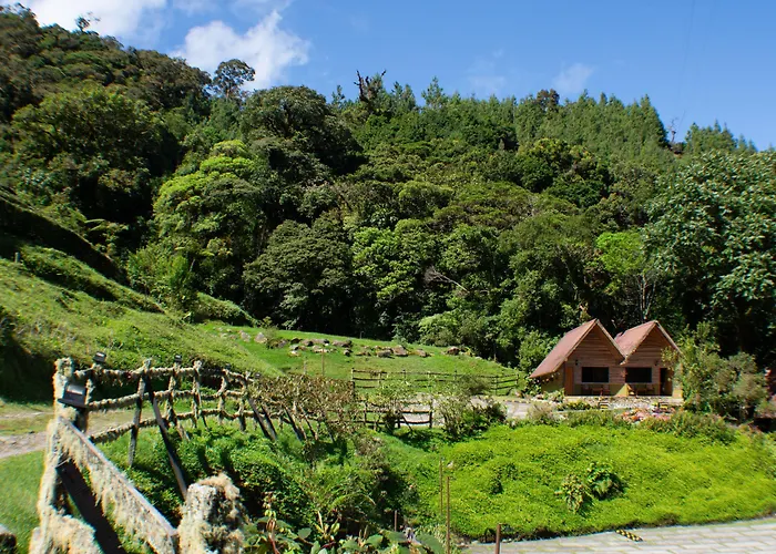 Tree Trek Boquete Adventure Park