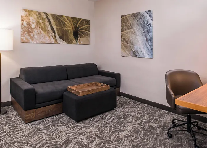 Springhill Suites By Marriott Huntsville Downtown