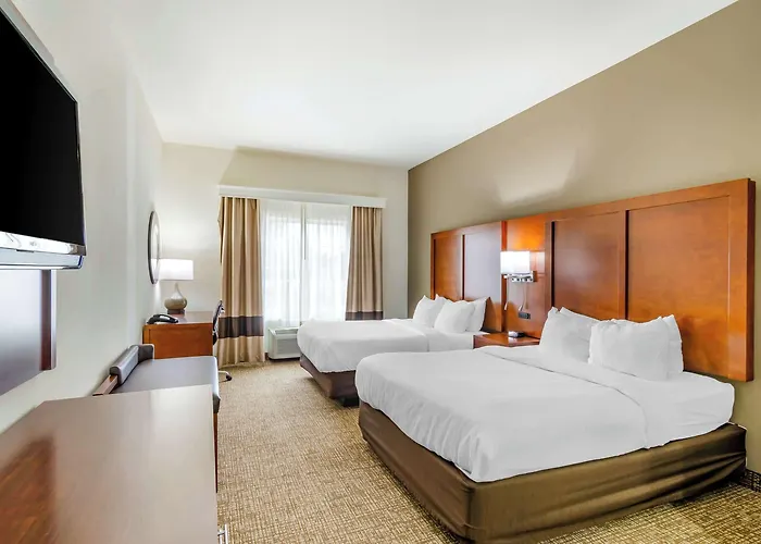 Comfort Inn & Suites Near Bethel College