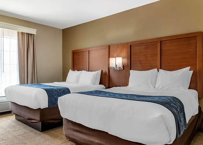Comfort Suites Buda - Austin South
