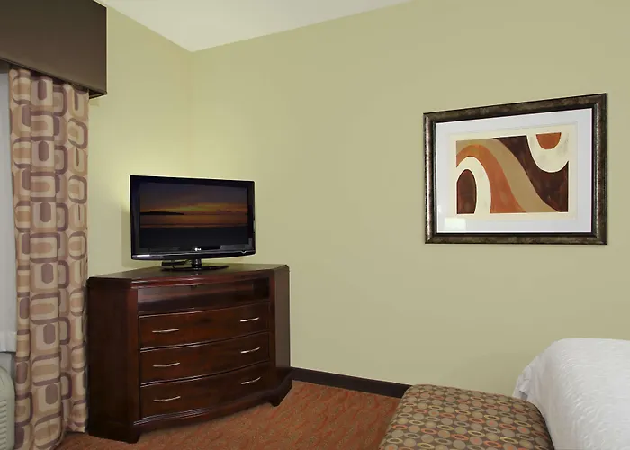 Hampton Inn & Suites Conroe I 45 North