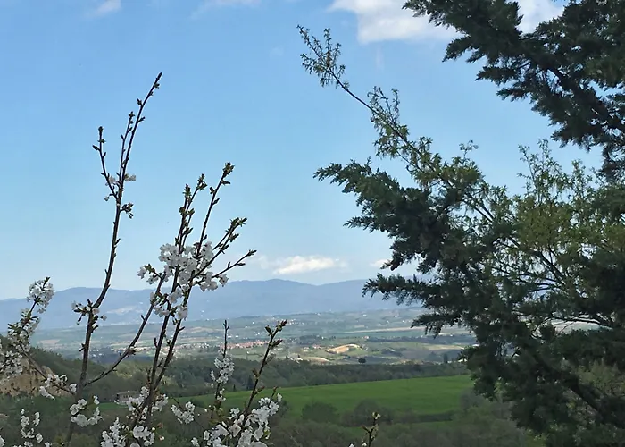 Agrihotel Villa Ambra