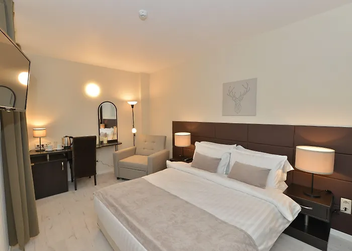 Art Plaza Hotel