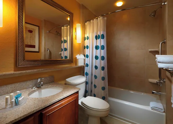 Towneplace Suites Houston North/Shenandoah