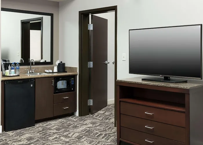 Hilton Garden Inn Dfw North Grapevine