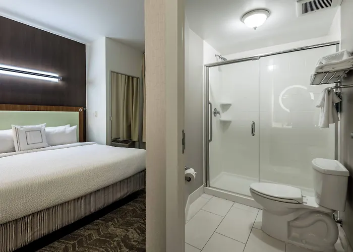 Springhill Suites Statesboro University Area