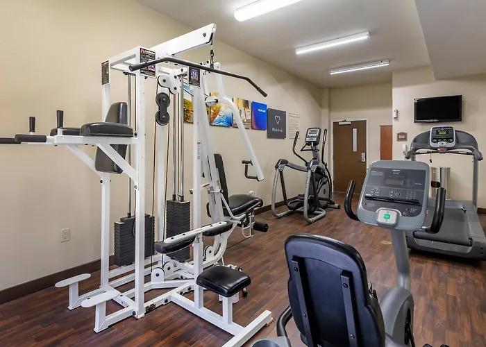 Comfort Suites Plano - Dallas North