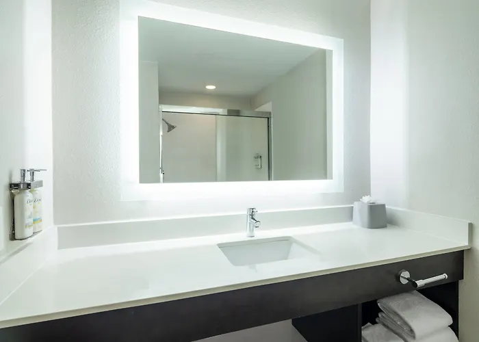 Holiday Inn Express & Suites St. Petersburg North
