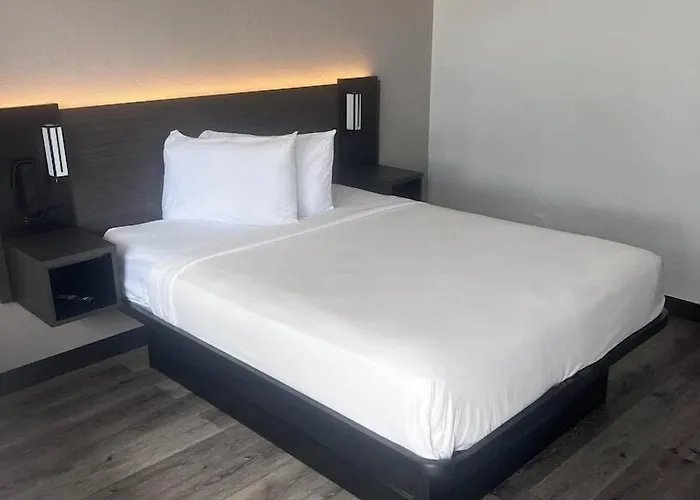 Motel 6-Orlando, Fl - Winter Park