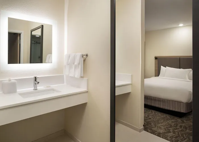 Springhill Suites Fort Worth University