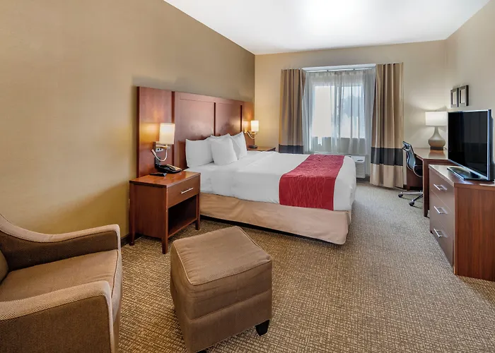 The Atrium Hotel Sfo Airport - Free Shuttle & Breakfast