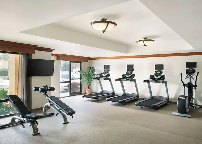 Springhill Suites By Marriott Tampa Westshore Airport