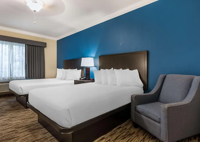 Best Western Dinosaur Valley Inn & Suites