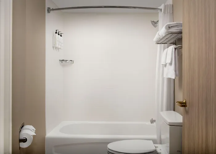 Springhill Suites By Marriott Atlanta Buford/Mall Of Georgia