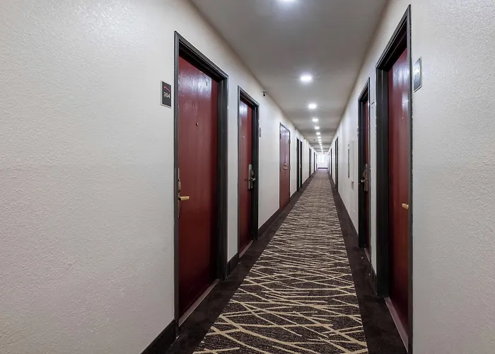 Red Roof Inn Norfolk - Portsmouth