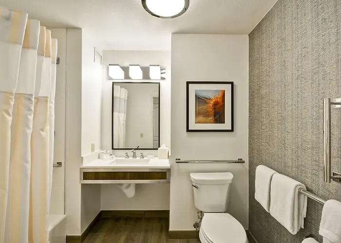 Hilton Garden Inn Austin Round Rock