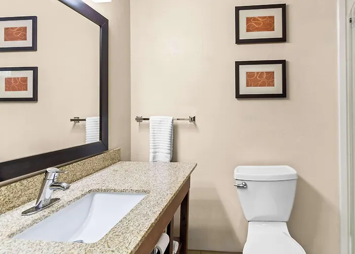 Comfort Suites Vincennes