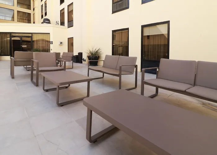 Hampton By Hilton Chihuahua