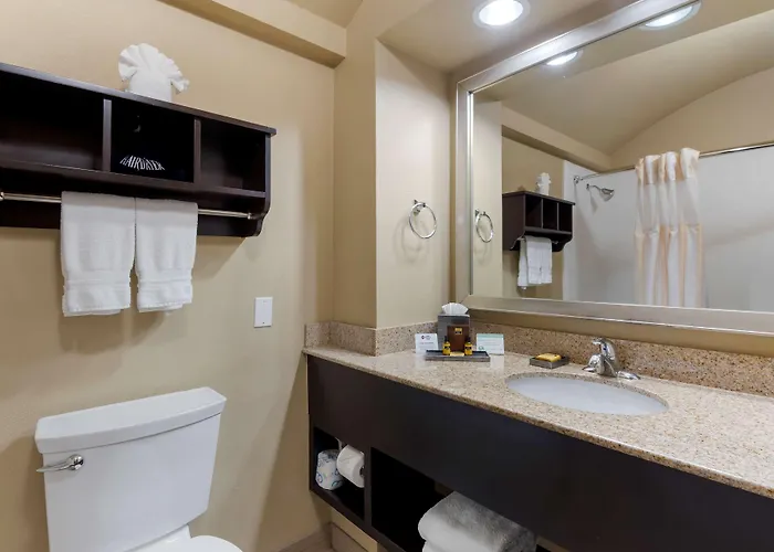 Best Western Plus Arlington North Hotel & Suites