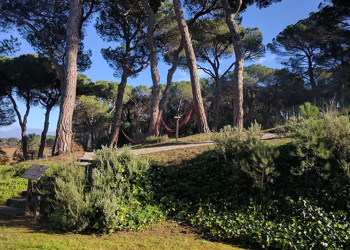 Augusta Barcelona Valles