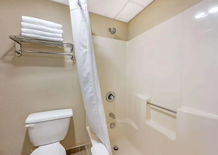 Comfort Inn & Suites East Hartford - Hartford
