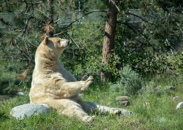 Holiday Inn Express Kamloops By Ihg