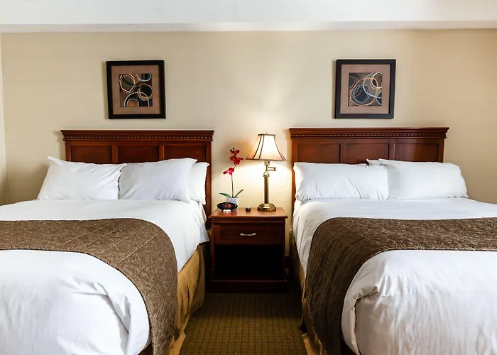 Welcominns Ottawa