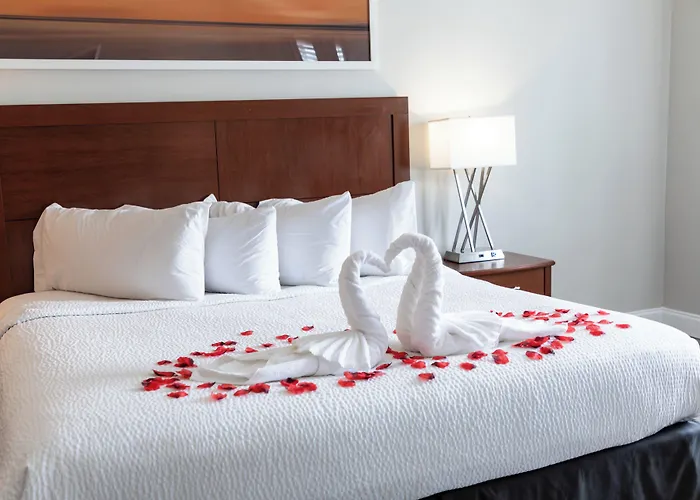Iris Hotel Cape Cod