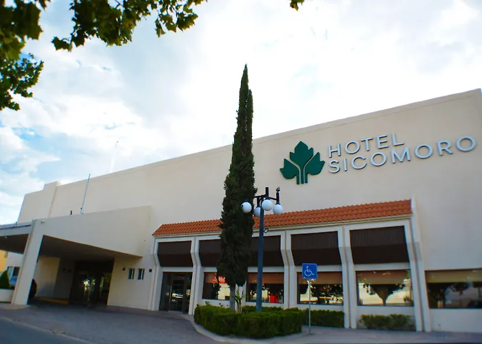 Hotel Sicomoro