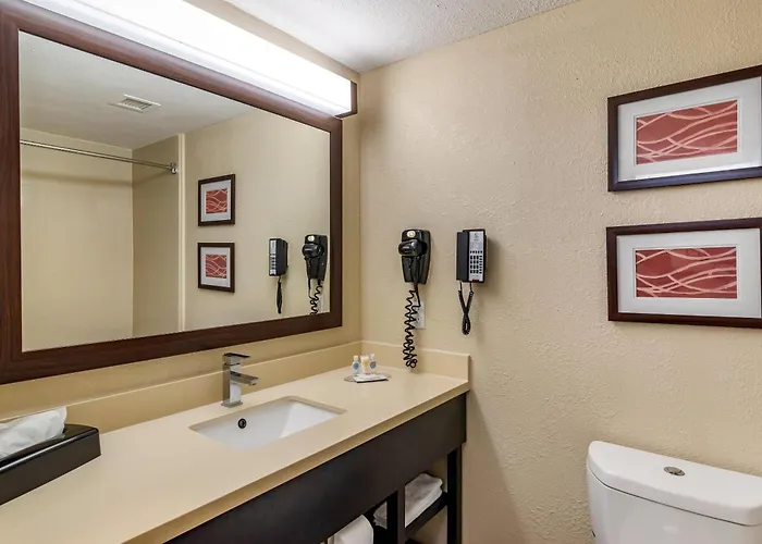 Comfort Inn & Suites Near Six Flags
