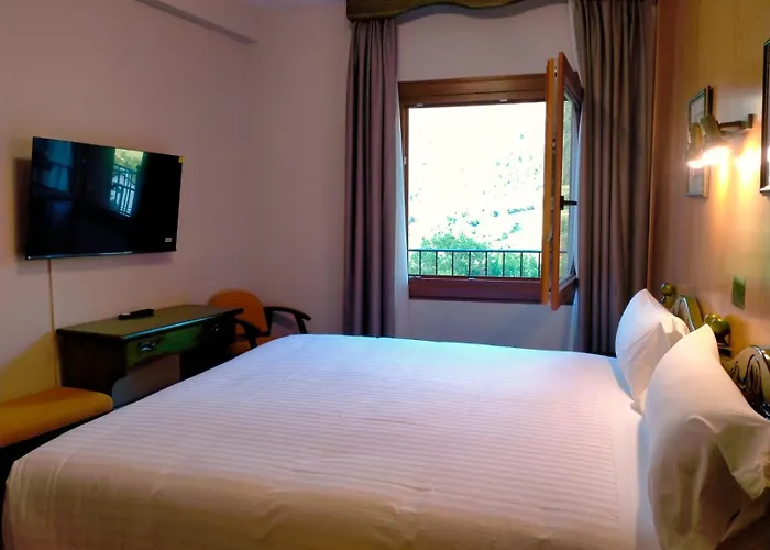 Edelweiss Hotel