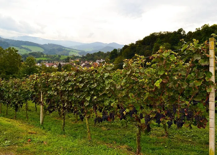 Landgasthof mit Gästezimmer Frohe Einkehr