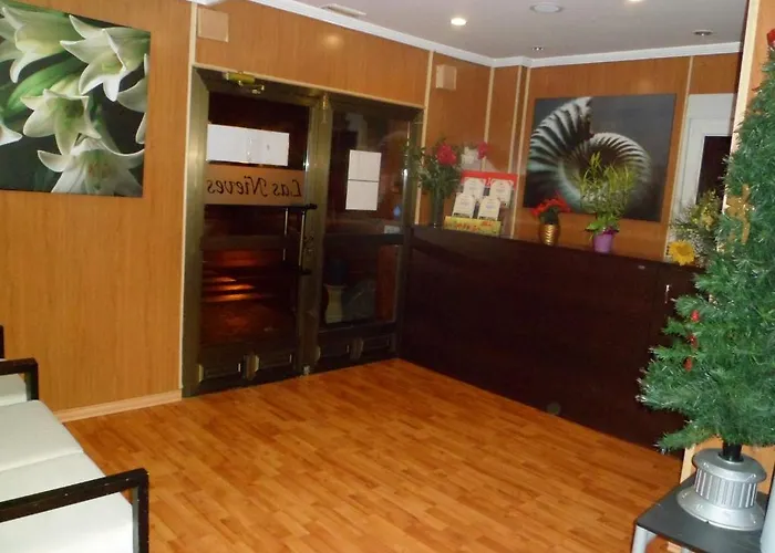 Auto Check In Hotel Las Nieves