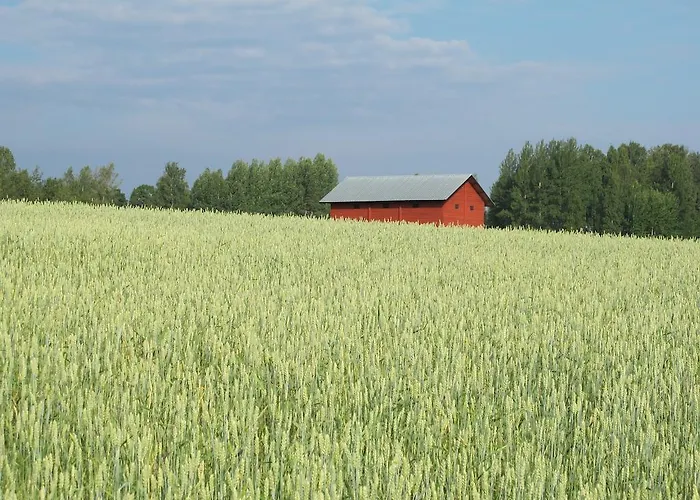 Wij Traedgardskoek Pa Wij Traedgardar