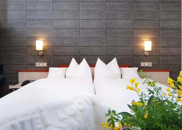 Hotel Ludwig Superior