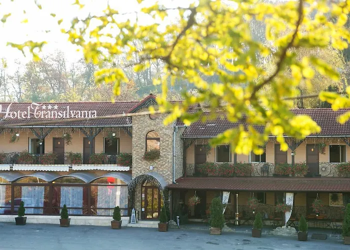 Hotel Transilvania