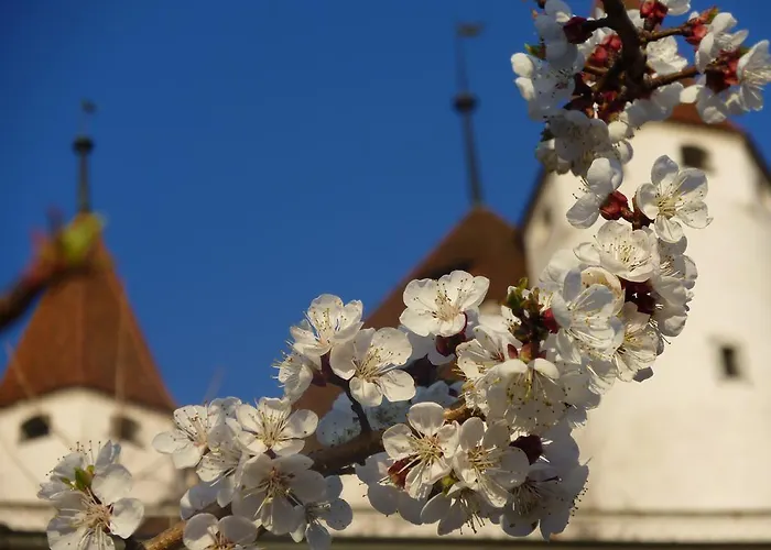 Hotel Restaurant Schwert Thun