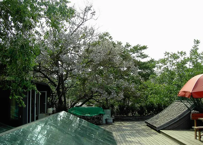 Kelly'S Courtyard Hotel