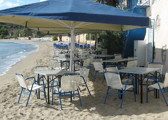 Oasis Hotel Theodoros & Litsa Galaris