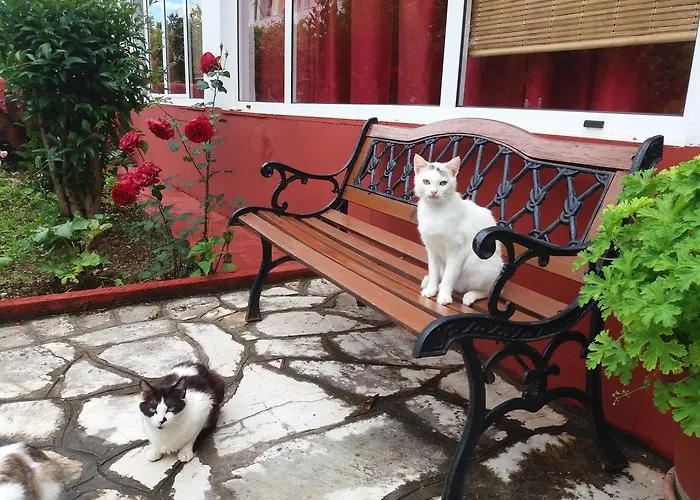 Semeli Hotel - Adults Only